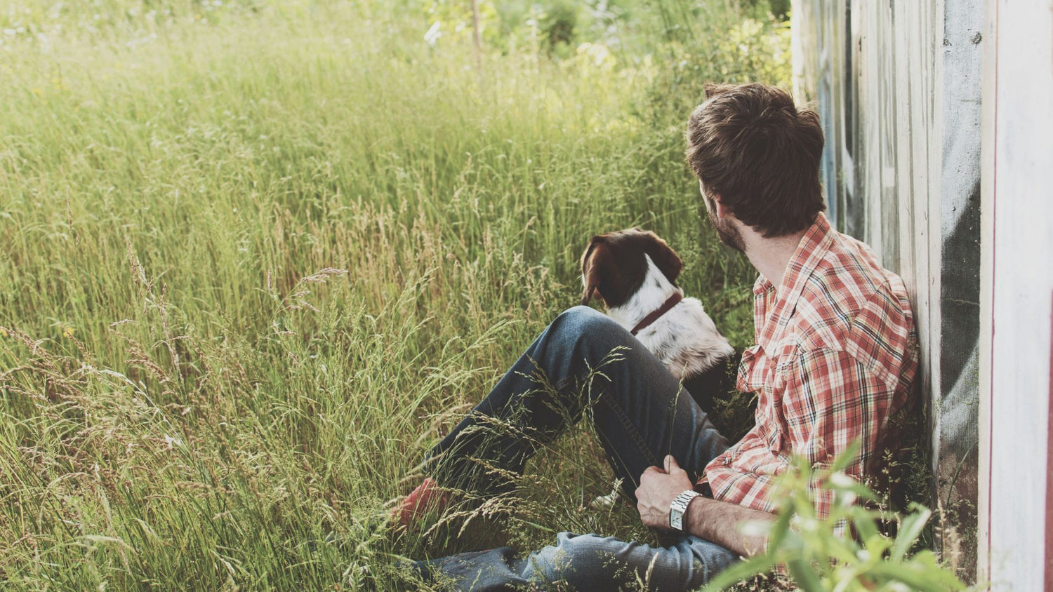 A happy dog sitting next to a man who is looking at the horizon, both sitting in the grass, enjoying a peaceful moment together