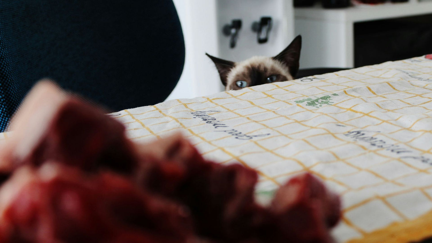 A cat trying to get to its food, showing how heavily cats want PetUtopia's 100% meat.