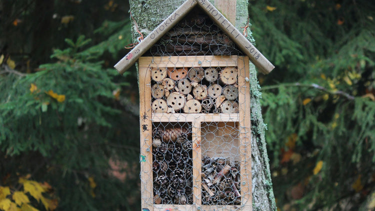 Insect Hotels