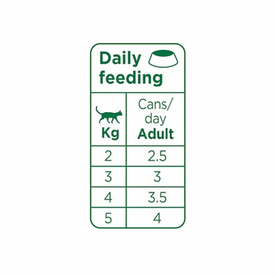 Prins Chunky Pate Duck