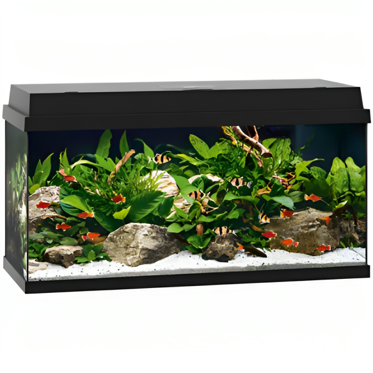 Juwel Primo Aquarium Black