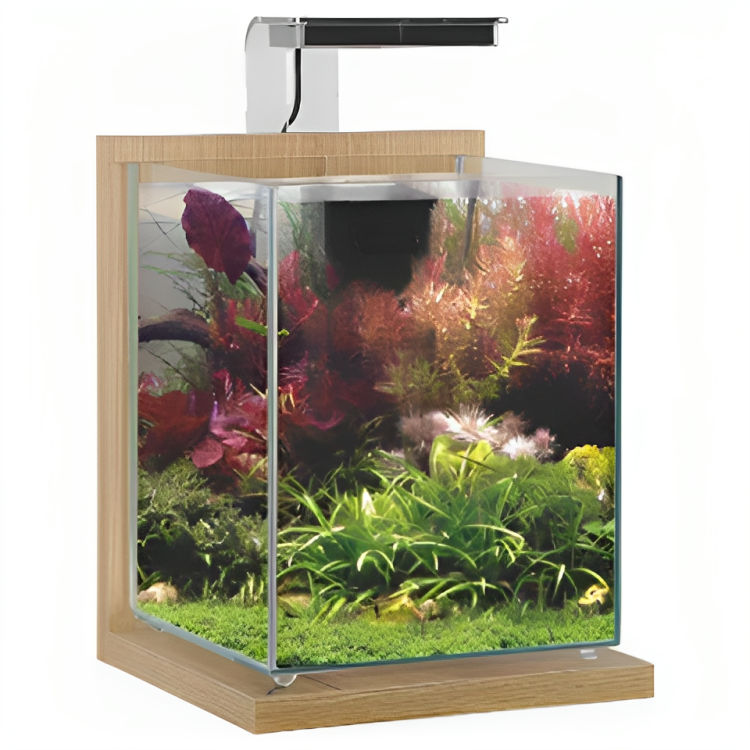 Zolux Glazen Aquarium met Houten Standaard