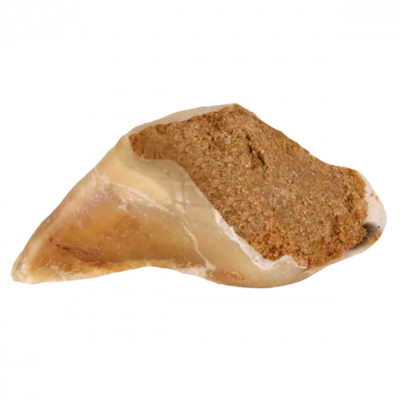 PetUtopia Stuffed Beef Hoof for Dogs