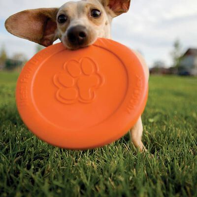 West Paw Hondenfrisbee Oranje Large