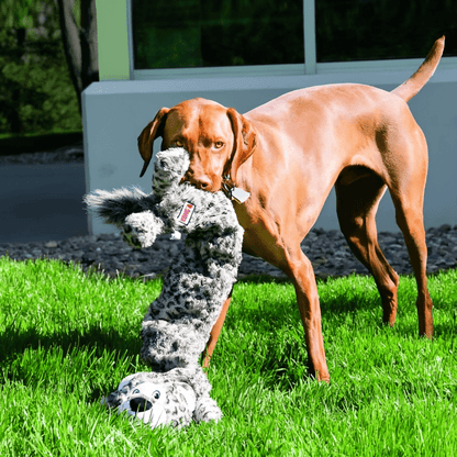 KONG Stretchezz Jumbo Snow Leopard pour chiens