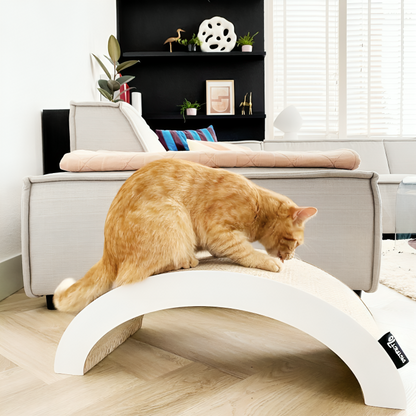 District 70 ARCH scratching board for cats