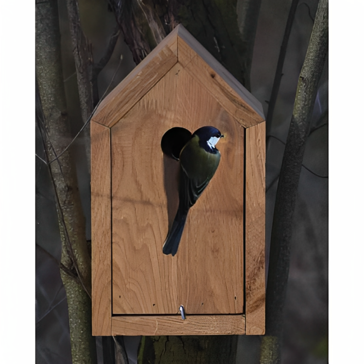 PetUtopia Nichoir Grande pour Oiseaux Sauvages