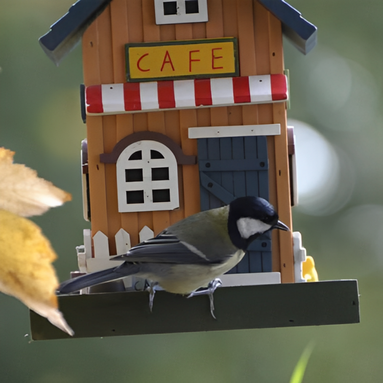 Dobar Bird shelter Decorative Birdhouse Café