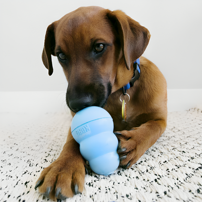 KONG Puppy Snacks - Biscuits