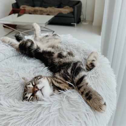 Topmast Fluffy Donut Bed voor hond/kat