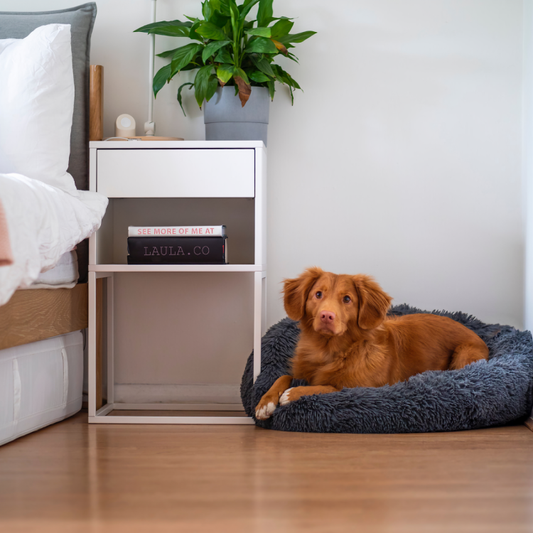 Topmast Fluffy Donut Bed pour chien/chat