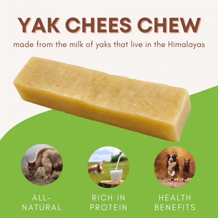 Topmast Yak Cheese Chew for dogs