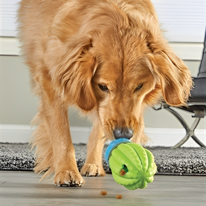 Brightkins Cactus Surprise Snoepjes Dispenser voor Honden